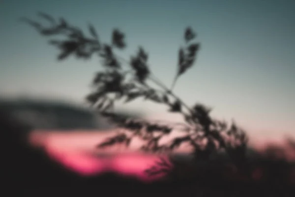 Prachtige Kleurrijke Zonsondergang Natuurgebied Duitsland — Stockfoto