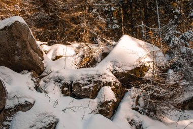 kış manzara Harz Dağları Milli Parkı, Almanya