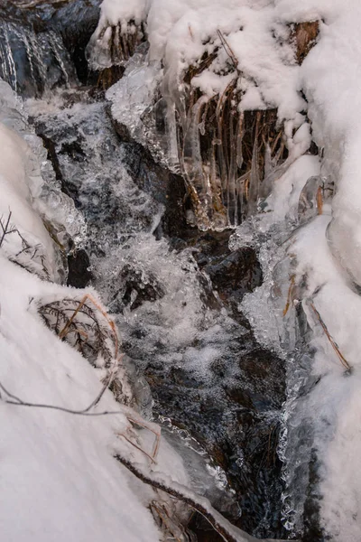 Pequeno Fluxo Água Congelado Paisagem Inverno — Fotografia de Stock