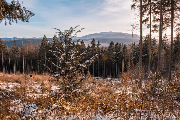 Paisaje Invernal Parque Nacional Las Montañas Harz Alemania — Foto de Stock