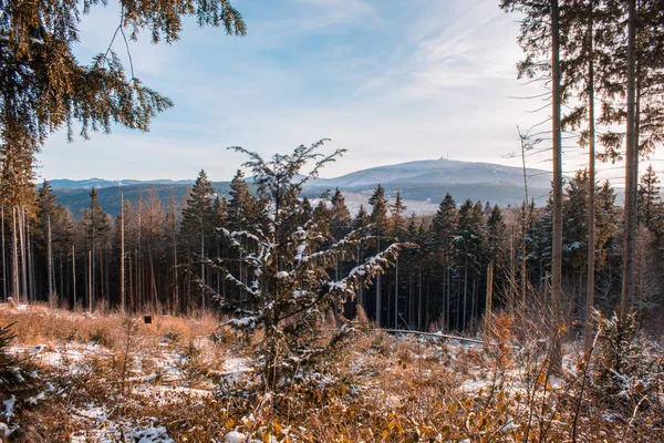 Paisaje Invernal Parque Nacional Las Montañas Harz Alemania — Foto de Stock