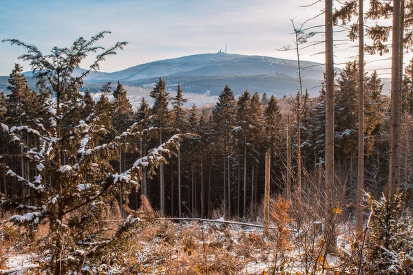 Winterlandschap Harz Mountains National Park Duitsland — Stockfoto