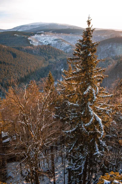 Uitzicht Harz Mountains National Park Duitsland — Stockfoto