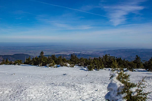 Uitzicht Het Harz Gebergte Landschap Van Piek Van Brocken Berg — Stockfoto