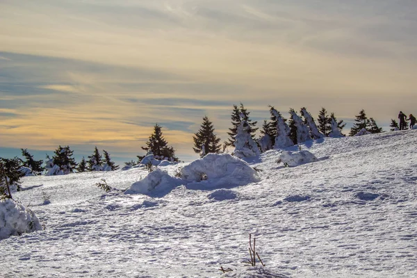 Sneeuw Bedekt Landschap Bovenop Brocken Berg Harz Mountains National Park — Stockfoto