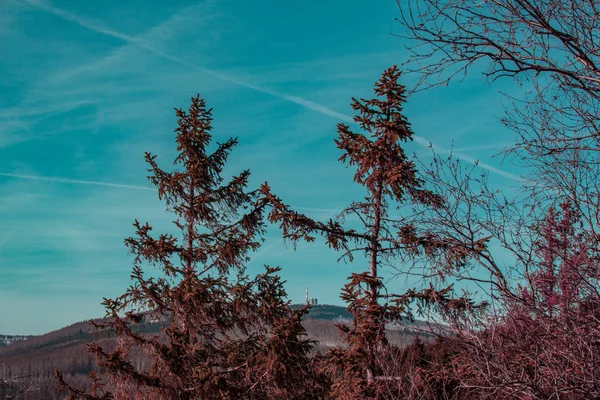 Vista Desde Ahrensklint Sobre Las Montañas Harz Alemania — Foto de Stock