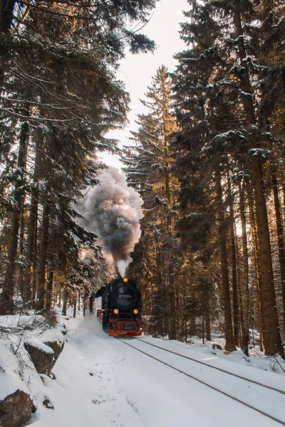 Famoso e histórico Brockenbahn na floresta em Harz Mountains — Fotografia de Stock