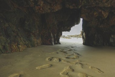 Beach at Nugget Point in Otago, South Island, New Zealand clipart