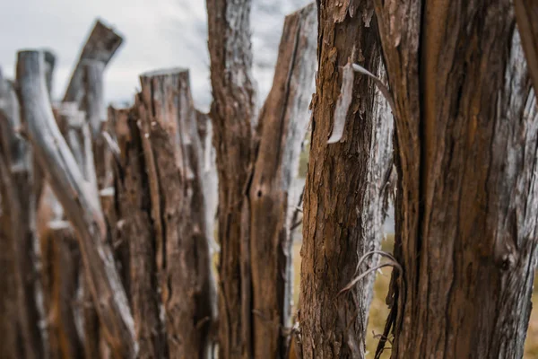Самодельный забор из дерева в Новой Зеландии — стоковое фото