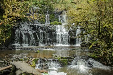 Purakaunui Falls adlı Catlins, Yeni Zelanda Güney Adası