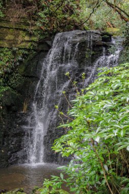 Horseshoe Falls adlı Catlins, Yeni Zelanda Güney Adası