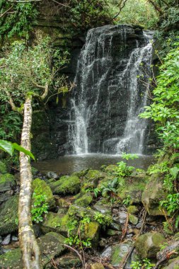 Horseshoe Falls adlı Catlins, Yeni Zelanda Güney Adası