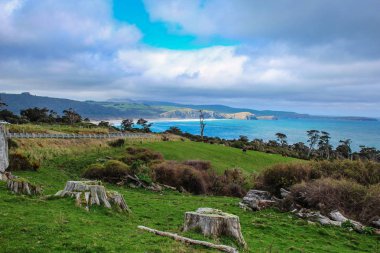 Floransa Hill uyanık, Catlins, South Island, Yeni Zelanda
