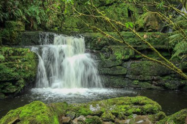 McLean Falls adlı Catlins, South Island, Yeni Zelanda