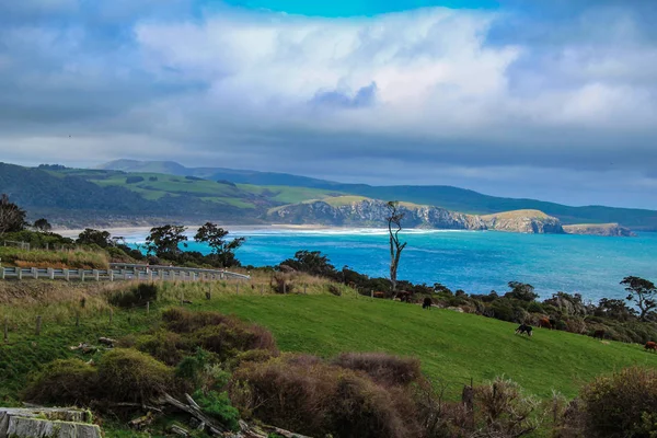 Florence Hill uitkijk op de Catlins, Zuid eiland, Nieuw-Zeeland — Stockfoto