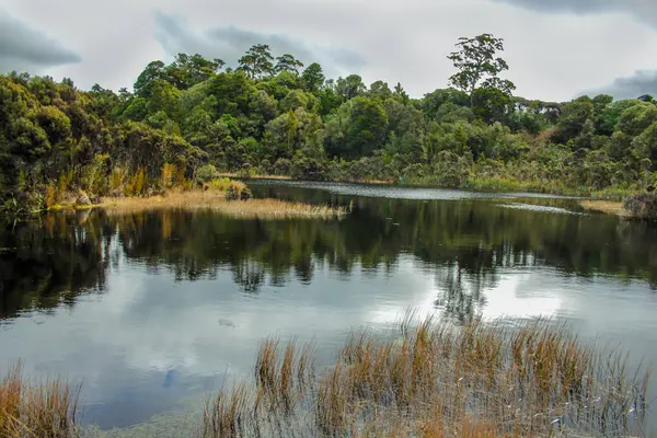 Wilkie jezioro o Catlins, Południowa wyspa, Nowa Zelandia — Zdjęcie stockowe