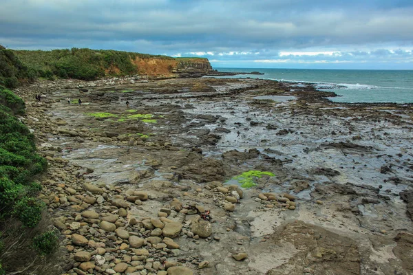 Curio Bay en Southland, vista sobre el antiguo bosque petrificado en Th — Foto de Stock