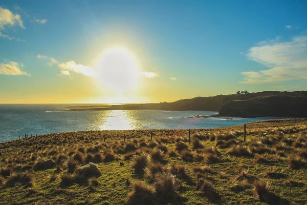 Slope Point Durante Pôr Sol South Island Nova Zelândia — Fotografia de Stock