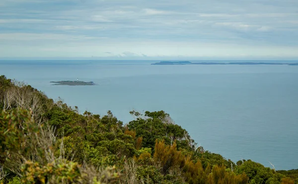 Oceanview van Bluff Hill Lookout, zuidelijkste punt in nieuwe Zea — Stockfoto