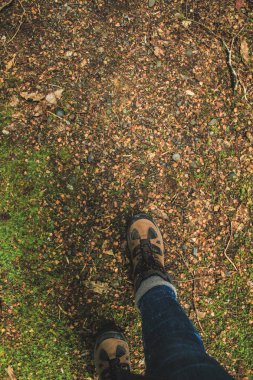 Orman yere yürüme uzun yürüyüşe çıkan kimse