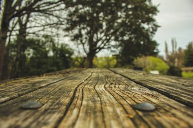 arka plan olarak doğa ortamında ahşap masa