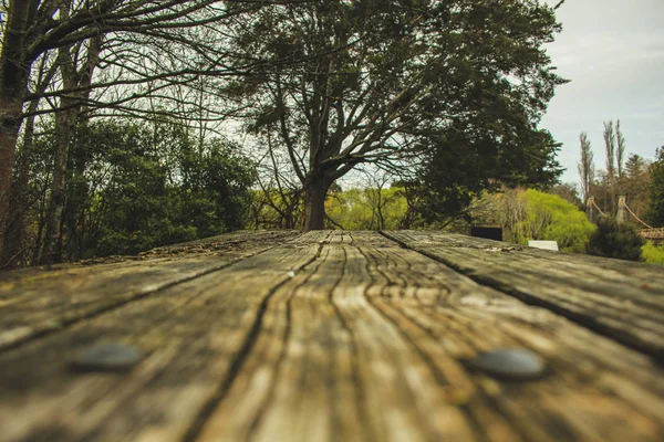 Wooden table in nature environment as background — Stock Photo, Image