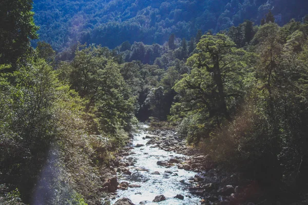 Μικρό ποτάμι ρέει μέσω Ουίλμοτ Pass σε αμφίβολες ήχος - Fiordland Εθνικό πάρκο, νότιο νησί, Νέα Ζηλανδία — Φωτογραφία Αρχείου