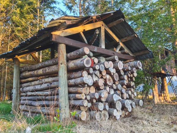 Pila de troncos de madera bajo cobijo en Nueva Zelanda —  Fotos de Stock