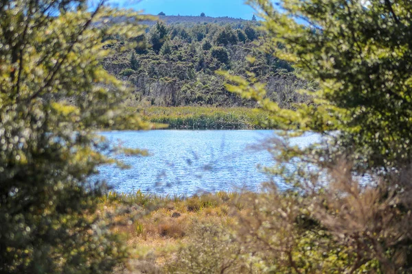 Lago Vischio a Southland, Isola del Sud, Nuova Zelanda — Foto Stock