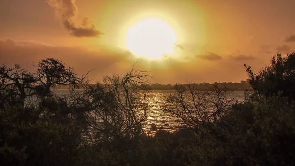 Puesta de sol en el Parque de Conservación Len Howard cerca de Mandurah, Australia Occidental — Foto de Stock