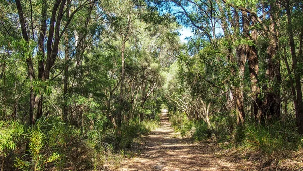 Parque Nacional Yalgorup perto de Mandurah, Austrália Ocidental — Fotografia de Stock