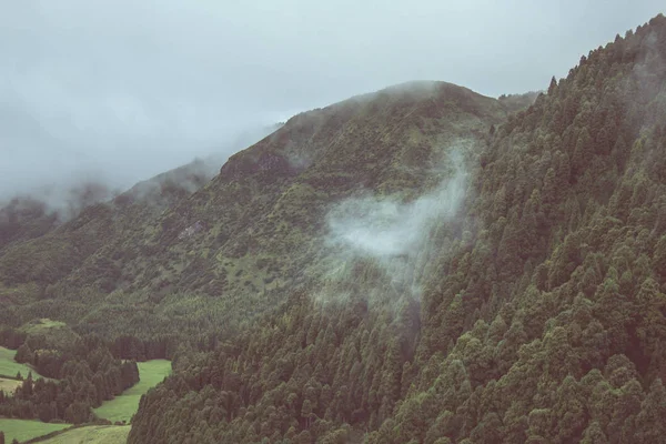 Vista sobre el bosque nublado en la isla de Sao Miguel, Azores, Portugal — Foto de Stock