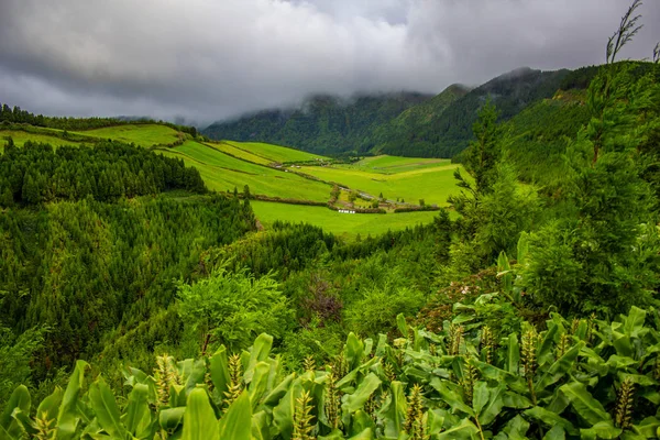 green fields and trees in a valley near 