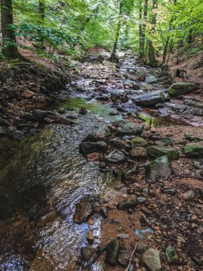 Harz Dağları Milli Parkı'nda ormandan akan Ilse nehri, Almanya