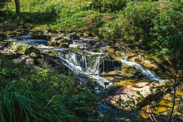 Rio Ilse que flui através da floresta no Parque Nacional das Montanhas Harz, Alemanha — Fotografia de Stock