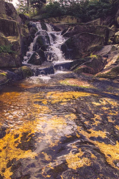 Rio Ilse que flui através da floresta no Parque Nacional das Montanhas Harz, Alemanha — Fotografia de Stock