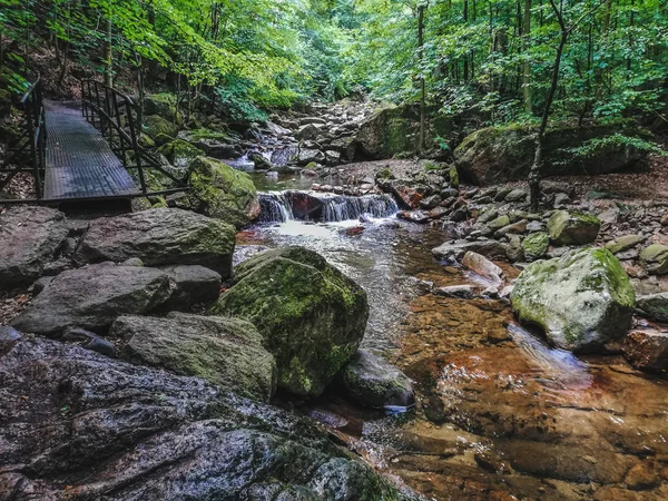 Řeka Ilse protékající lesem v národním parku Harz Mountains v Německu — Stock fotografie