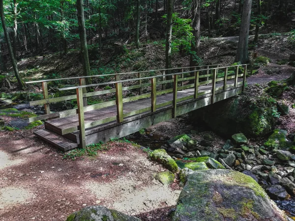 Rivière Ilse qui coule à travers la forêt dans le parc national des montagnes du Harz, Allemagne — Photo