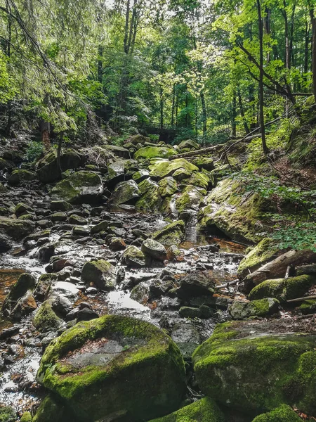 Řeka Ilse protékající lesem v národním parku Harz Mountains v Německu — Stock fotografie