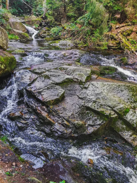 Rio Ilse que flui através da floresta no Parque Nacional das Montanhas Harz, Alemanha — Fotografia de Stock