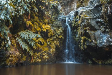 Parque Natural da Ribeira dos Caldeiroes Şelalesi, Sao Miguel, Azores, Portekiz