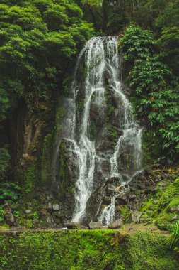 Parque Natural da Ribeira dos Caldeiroes, Sao Miguel, Azores, Portekiz 'deki en büyük şelale.