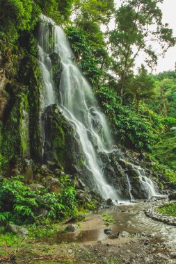 Parque Natural da Ribeira dos Caldeiroes, Sao Miguel, Azores, Portekiz 'deki en büyük şelale.