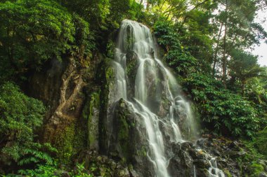 Parque Natural da Ribeira dos Caldeiroes, Sao Miguel, Azores, Portekiz 'deki en büyük şelale.