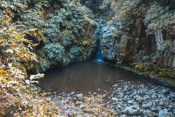 Водоспад на Parque Natural da Ribeira dos Caldeiroes, Sao Miguel, Azores, Portugal — стокове фото