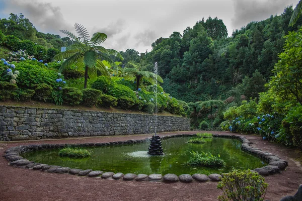 Parque Natural da Ribeira dos Caldeiroes, Sao Miguel, Azoren, Portugal — Stockfoto