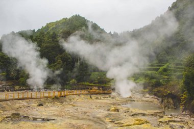 Furnas köyünde jeotermal aktivite, Sao Miguel, Azores, Portekiz