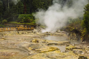 Furnas köyünde jeotermal aktivite, Sao Miguel, Azores, Portekiz