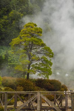 Furnas köyünde jeotermal aktivite, Sao Miguel, Azores, Portekiz