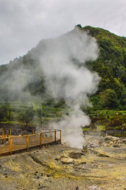 Furnas köyünde jeotermal aktivite, Sao Miguel, Azores, Portekiz